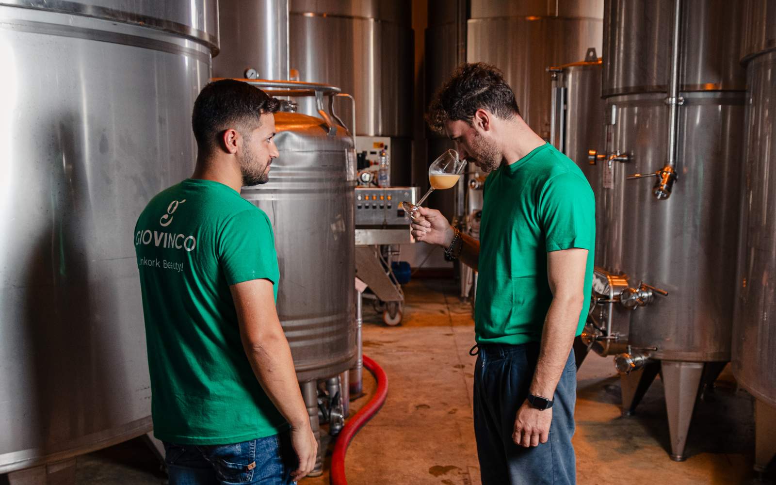 cantina-cellar-winery-h1