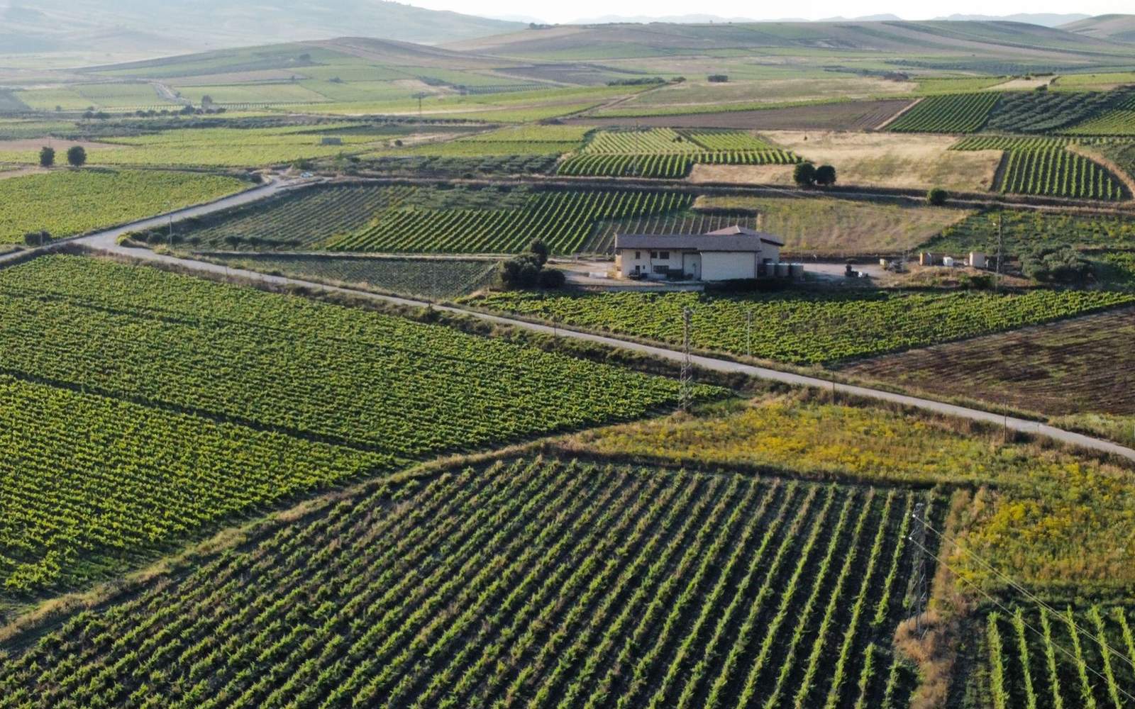 cantina-cellar-winery-h5