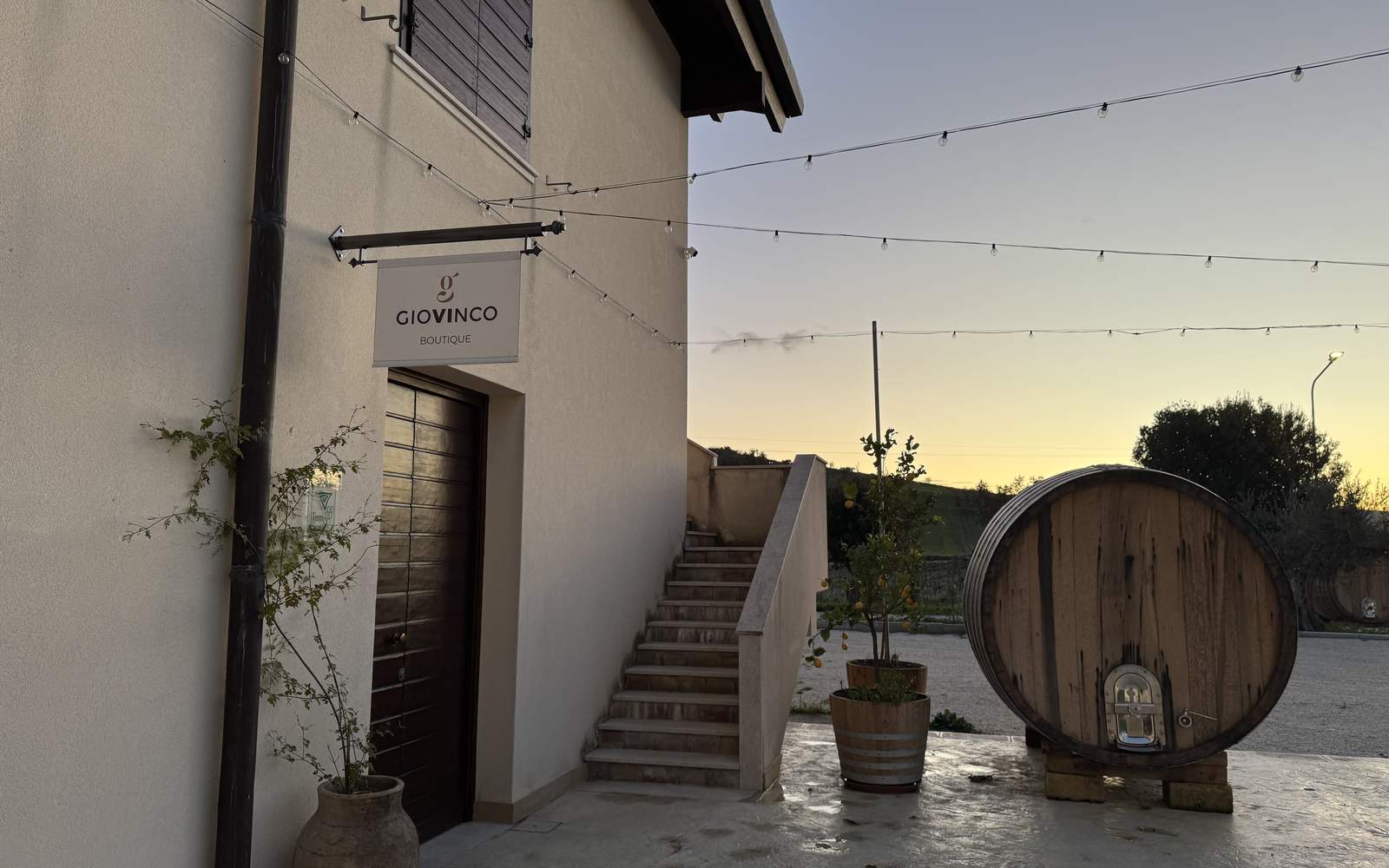 cantina-cellar-winery-h6