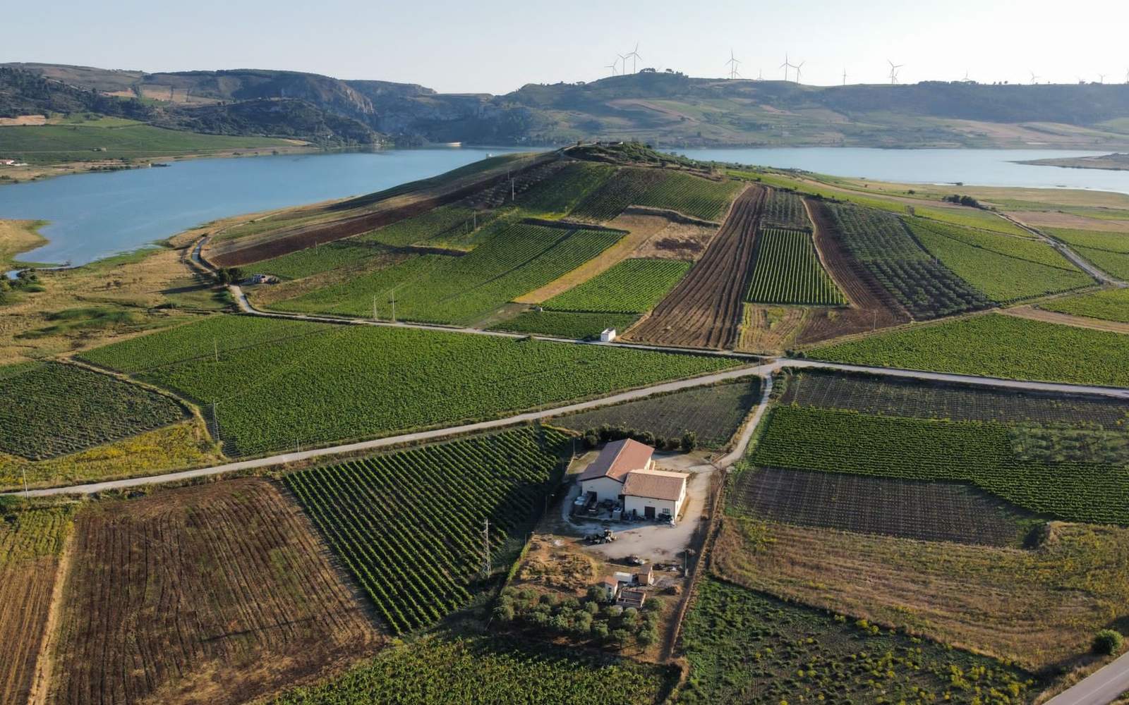 cantina-cellar-winery-h7