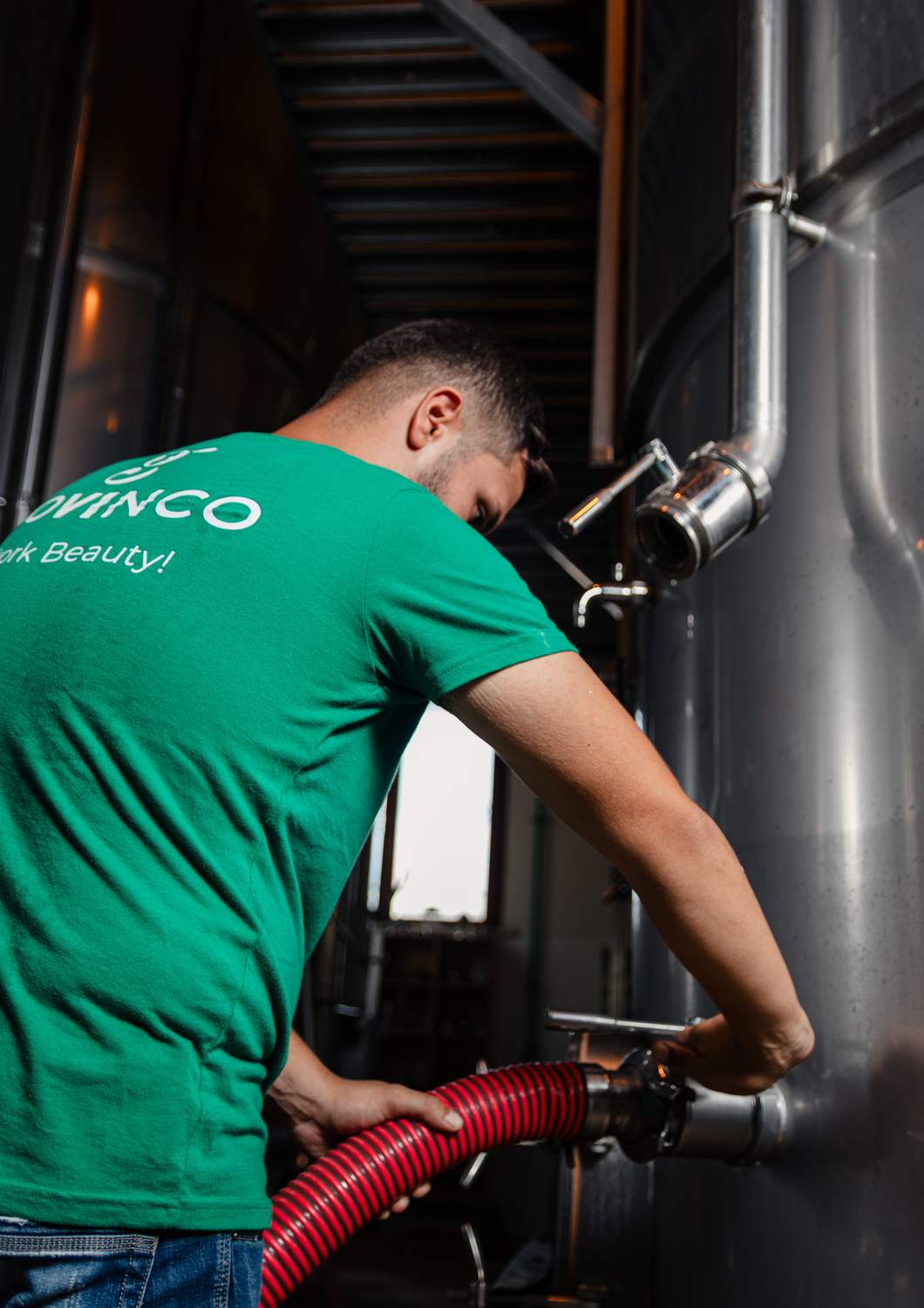 cantina-cellar-winery-v10