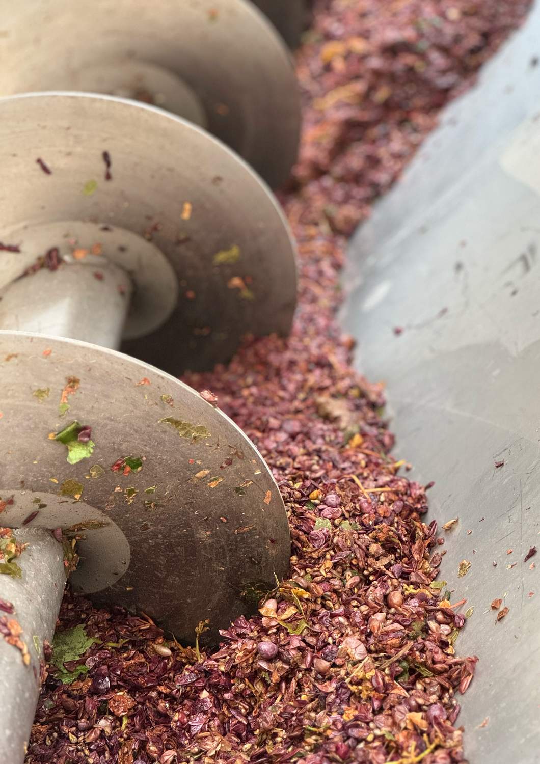 cantina-cellar-winery-v16