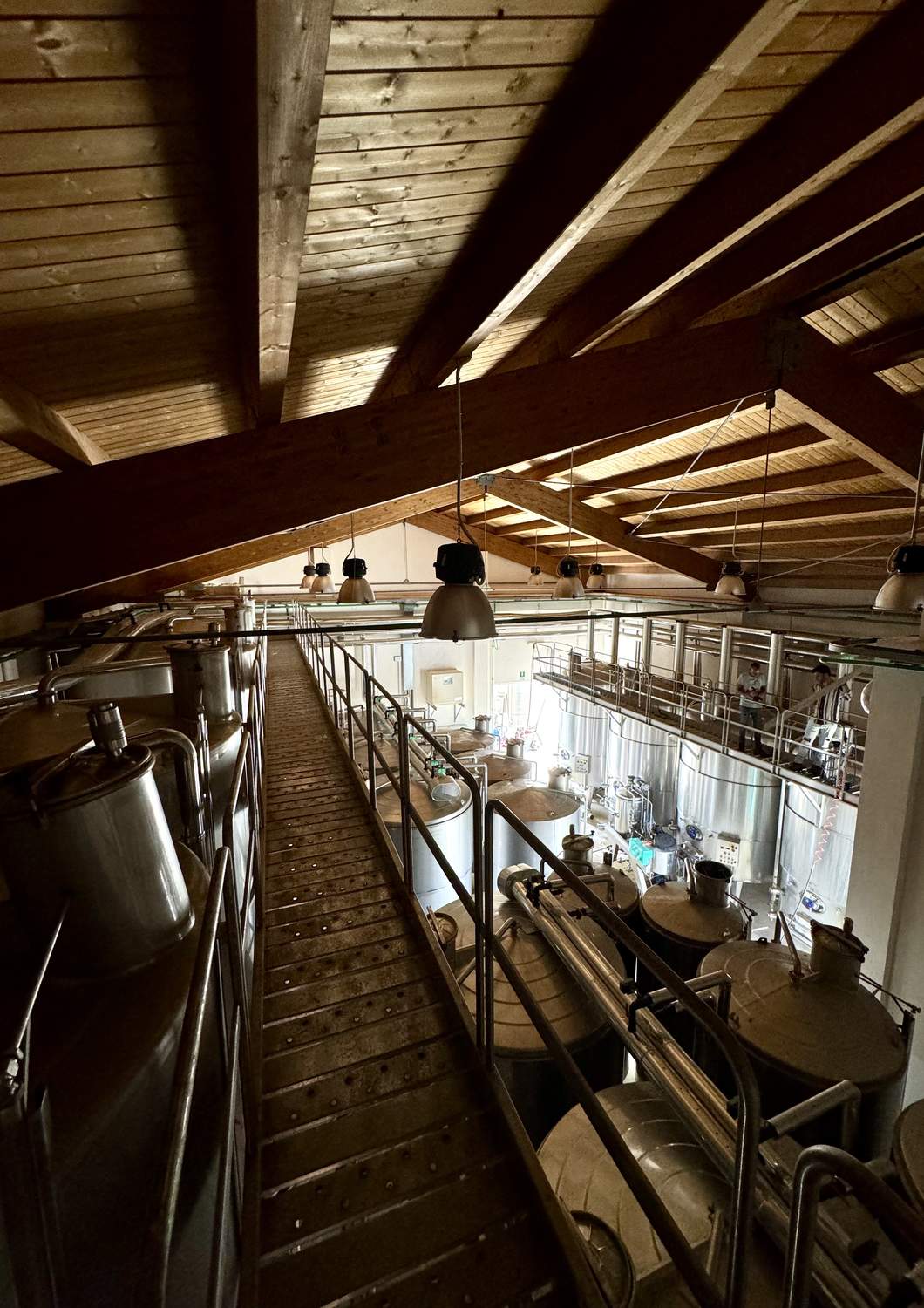 cantina-cellar-winery-v17