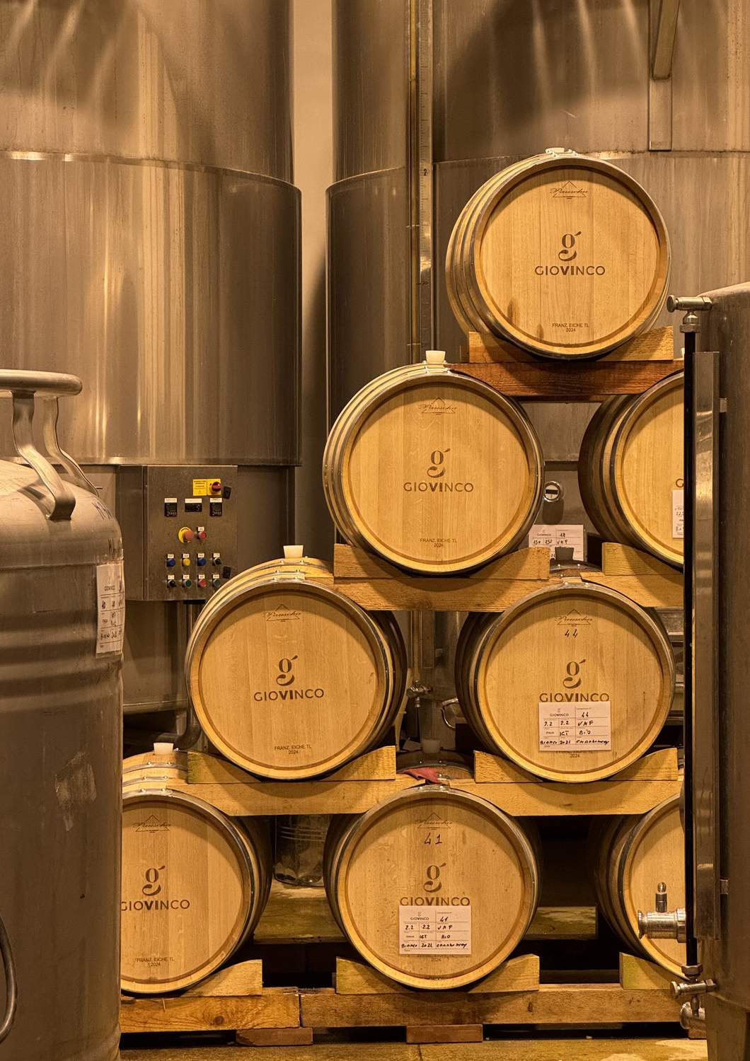 cantina-cellar-winery-v21