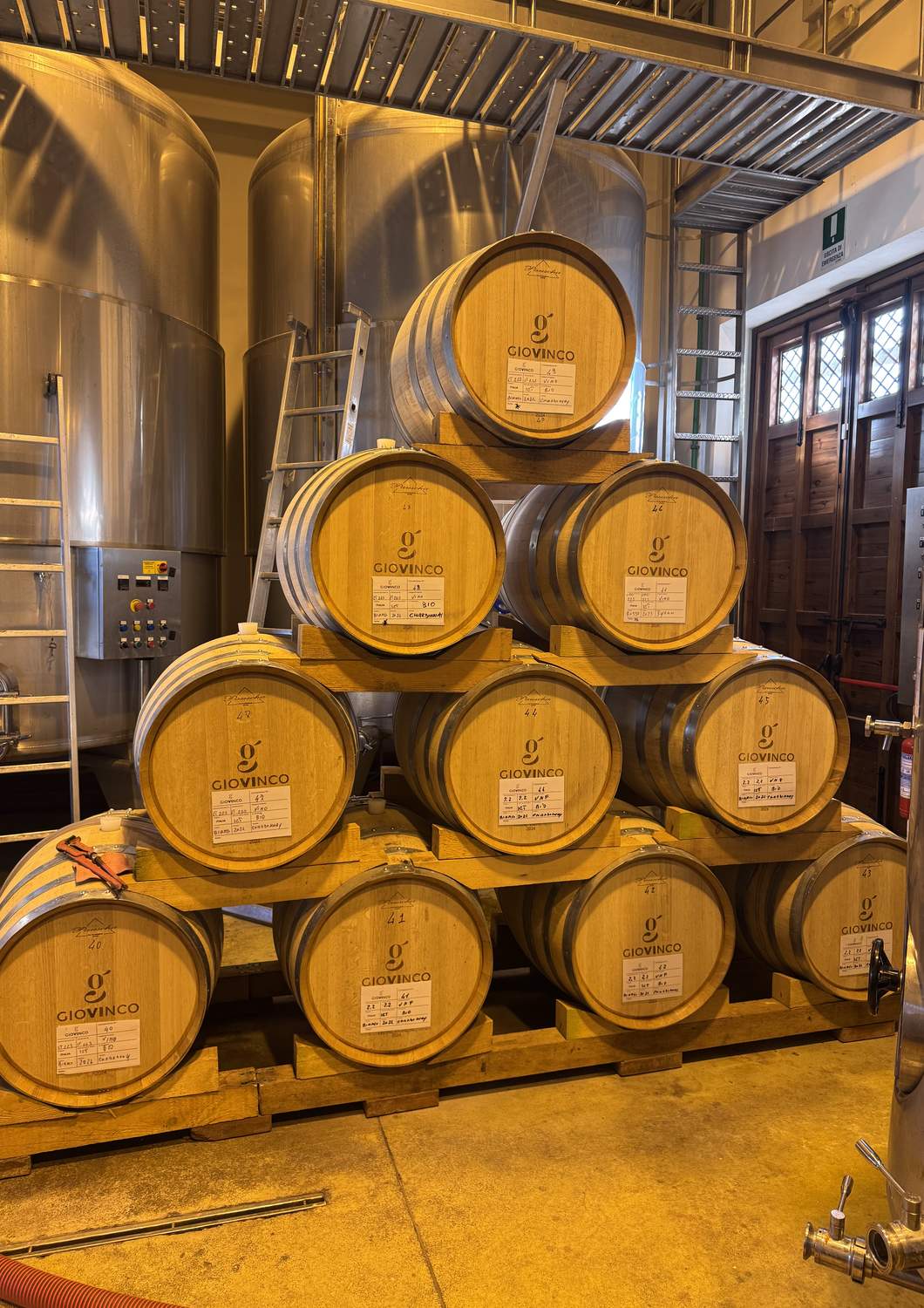 cantina-cellar-winery-v22