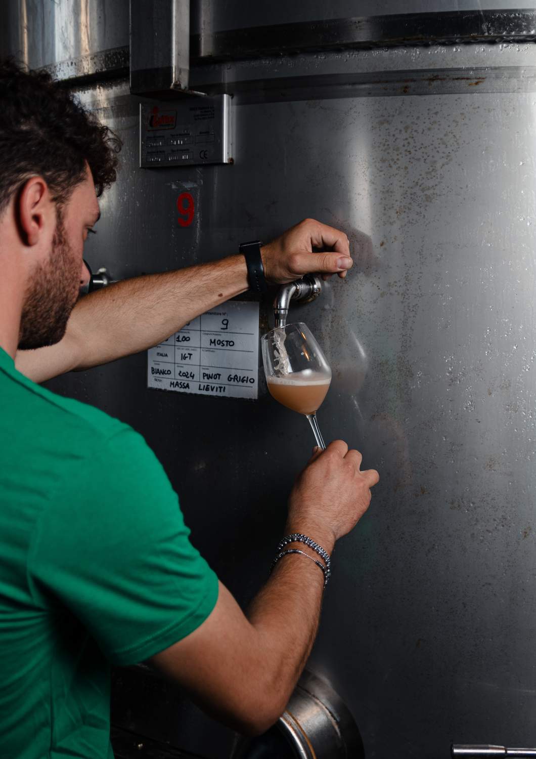 cantina-cellar-winery-v8