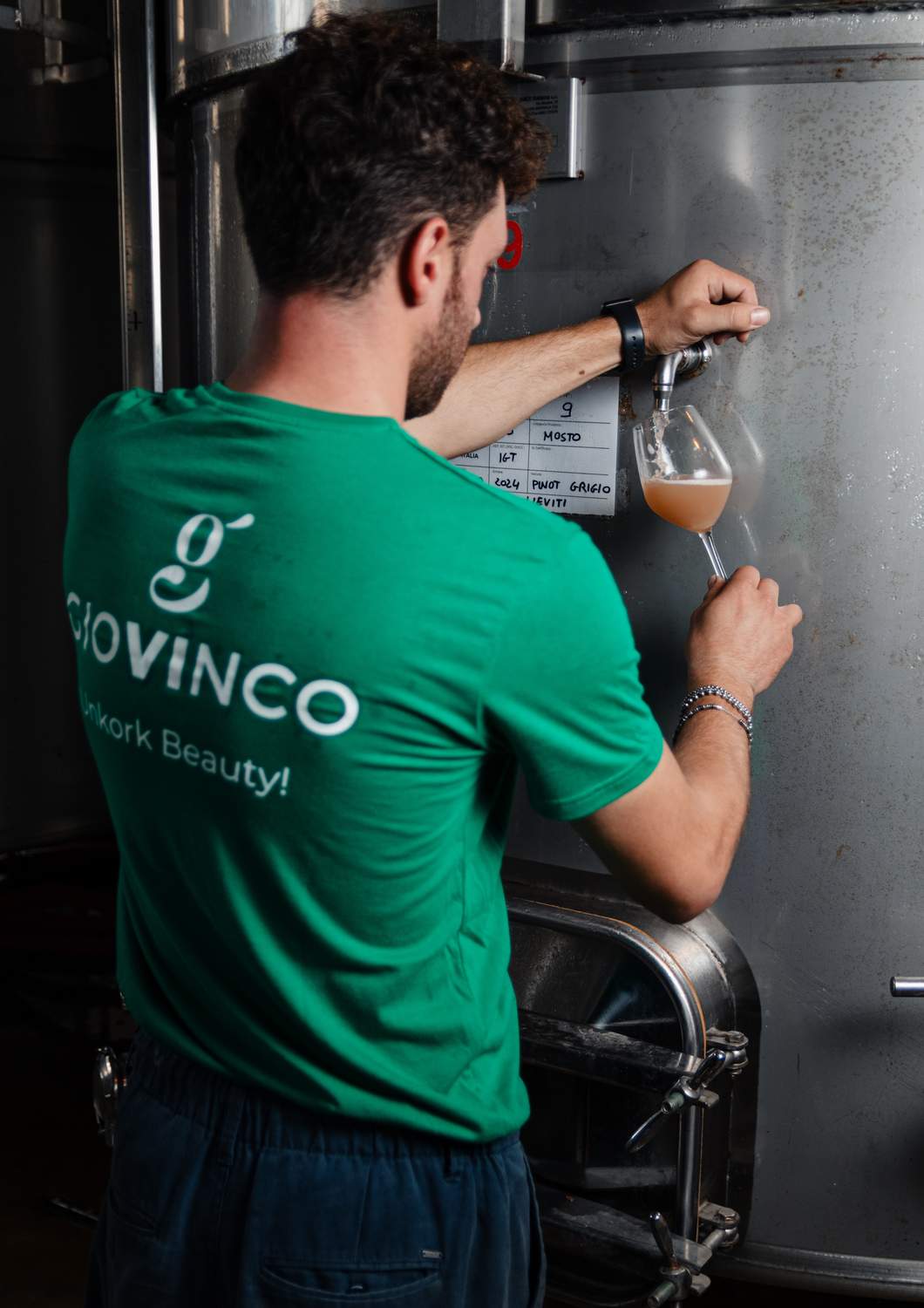 cantina-cellar-winery-v9